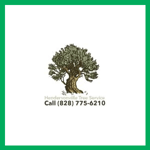 Evergreen Trees & Shrubs Corp Logo