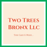 Two Trees Bronx Llc Logo