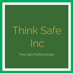 Think Safe Inc Logo