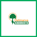Delmarva Arborists Logo