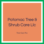 Potomac Tree &amp; Shrub Care Llc Logo