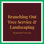 Branching Out Tree Service &amp; Landscaping Logo