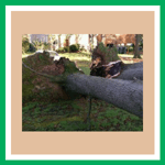 Daniel David Loving Logo