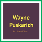 Wayne Puskarich Logo