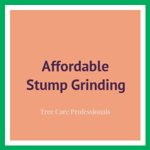 Affordable Stump Grinding Logo