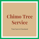 Chimo Tree Service Logo