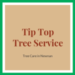 Tip Top Tree Service Logo