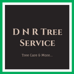 D N R Tree Service Logo