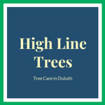 High Line Trees Logo