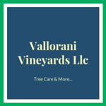 Vallorani Vineyards Llc Logo