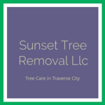 Sunset Tree Removal Llc Logo