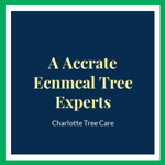 A Accrate Ecnmcal Tree Experts Logo