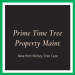Prime Time Tree Property Maint Logo