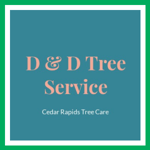 D &amp; D Tree Service Logo