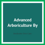 Advanced Arboriculture By Logo