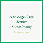 A &amp; Bdget Tree Service Snowplowing Logo