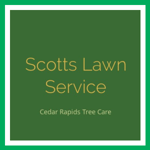 Scotts Lawn Service Logo