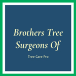 Brothers Tree Surgeons Of Logo