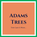 Adams Trees Logo