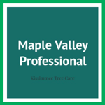 Maple Valley Professional Logo