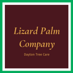 Lizard Palm Company Logo