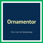 Ornamentor Logo