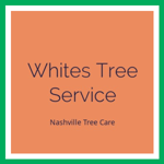 Whites Tree Service Logo