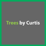 Tree Service By Curtis Logo