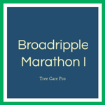 Broadripple Marathon I Logo