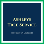 Ashleys Tree Service Logo