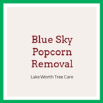 Blue Sky Popcorn Removal Logo