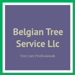 Belgian Tree Service Llc Logo