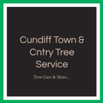 Cundiff Town &amp; Cntry Tree Service Logo