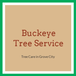 Buckeye Tree Service Logo