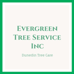Evergreen Tree Service Inc Logo