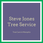 Steve Jones Tree Service Logo