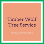 Timber Wolf Tree Service Logo