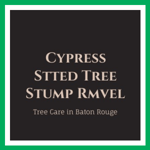Cypress Stted Tree Stump Rmvel Logo