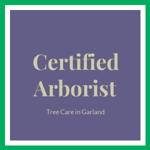 Certified Arborist Logo