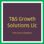 T&amp;S Growth Solutions Llc Logo