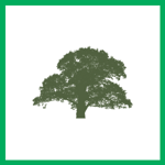 Heritage Shade Tree Cons Logo