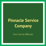Pinnacle Service Company Logo