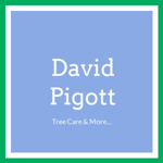 David Pigott Logo