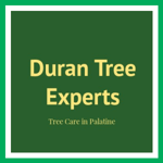 Duran Tree Experts Logo