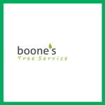 Boones Tree &amp; Landscaping Service Logo