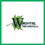 Right Way Tree Care Logo