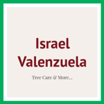 Israel Valenzuela Logo