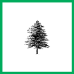 Price Rite Tree Trimming Logo