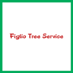 Greg &amp; Dorothy Figlio Logo