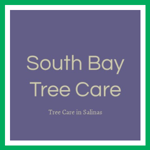 South Bay Tree Care Logo